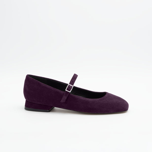 Viola