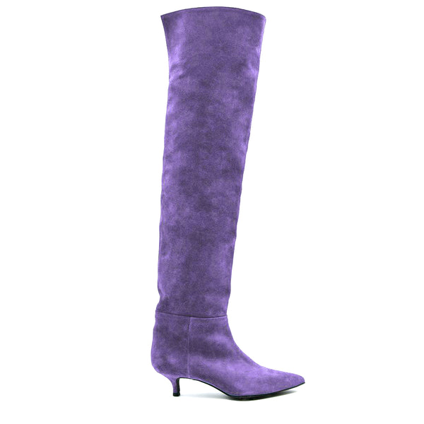 Viola