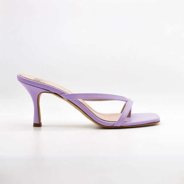 Viola